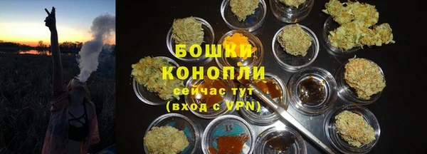 ГАЛЛЮЦИНОГЕННЫЕ ГРИБЫ Алзамай